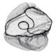 Disposable Beard Nets