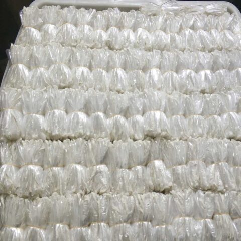 Polyethylene Shower Cap